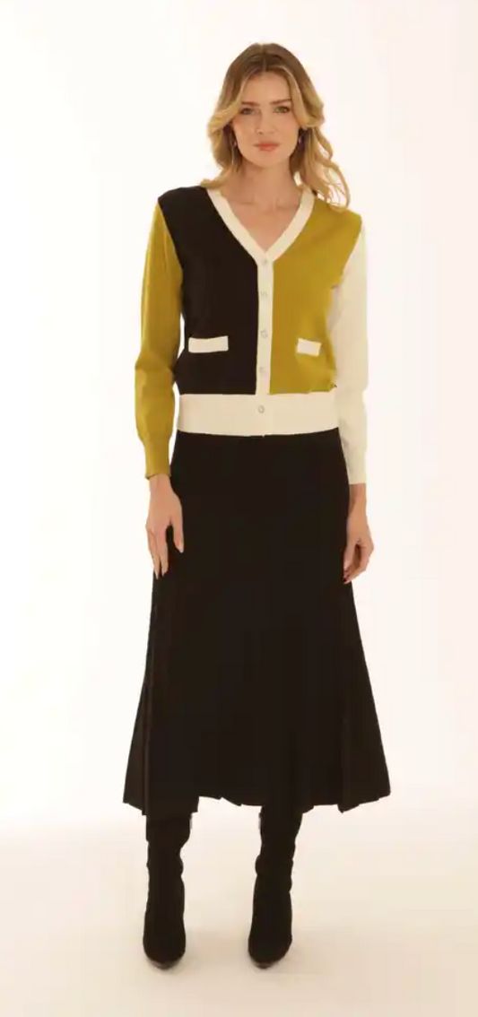 Sasha knit Pleated Skirt by Pomodoro